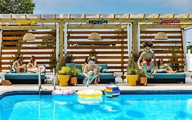 Freebird By Reverie Boutique Collection